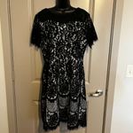 Amazon NWOT Women's Black Lace Dress Photo 3