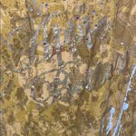 Apple Bottoms 🌟🌟🌟BOGOHO🌟🌟🌟Yellow Sequin Flutter Sleeve Blouse-3X Photo 1