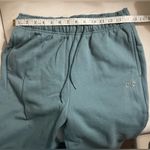 Alo Yoga NWOT Alo Accolade Sweatpants Joggers Size M Limited Edition Color Blue Green Photo 5