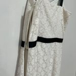 Ann Taylor loft lace sleeveless dress Size 8 Photo 7