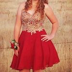 Lee Anny  HOCO Dress Photo 0