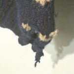 Ralph Lauren Polo  Size XL Black Cream 100% Wool Knit Moose Sweater Crewneck Photo 2