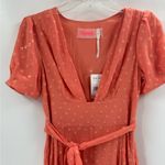 Free People  wanderer Maci dress boho gown coral chiffon metallic gold textured 4 Photo 5