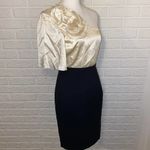 Trina Turk  "Belle De Nuit" One Shoulder Floral Applique Silk Cocktail Dress, 4 Photo 13