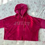 Juicy Couture bling velour crop hoodie Photo 0