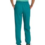 The North Face Half Dome Fleece Sweatpants Photo 2