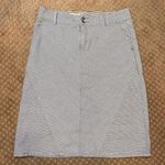 Pilcro and the Letterpress Anthropologie  Women's Railroad Denim Striped Skirt 28 Photo 0