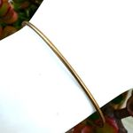 ALEX AND ANI love charm gold tone bangle bracelet Photo 3