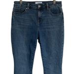 Pistola Womens Blue Denim Mid Rise Modern Slim Skinny Classic Jeans | Revolve 29 Photo 10