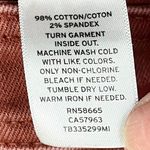 Treasure & Bond  Distressed Cutoff Rust Shorts 31 Photo 5