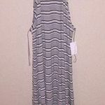 Charlotte Russe NWT Grey Dress Photo 0