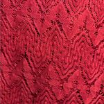 Style & Co Deep Scarlet Lace Dress | Size Large NWT Elegant & Flattering Photo 1