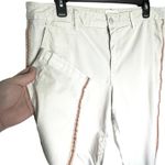 Anthropologie CHINO Women’s Relaxed Fit Tan Pink Tux Stripe Pant Photo 3