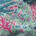 Lilly Pulitzer  Callahan Shorts Sink or‎ Swim Preppy Resort Casual Blue Pink 2 Photo 4