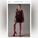 Anthropologie Hutch Black Floral Tulle Mini Dress Size 2 Photo 5