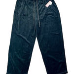 NWT Tickled Pink Fuda Black Pull On Velour Pants 2X Photo 0