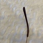 Classic gold Oval Eyeglasses vintage Photo 2