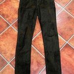 Citizens of Humanity Mandy Gecko Print Retroslim Roll Up Pants Size 28 Photo 0