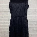 NWT Dressystar Black Lace High Neck Halter High Photo 3