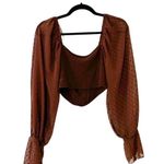 Urban Outfitters NWT Crop Top Cut-out Brown Sz Small Photo 2