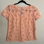 Loft S Women's Peachy Pink Lace Peplum Back Embroidered Short Sleeve Blouse NWT Photo 0
