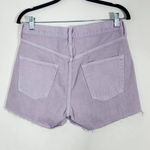 Edwin Purple Jean Shorts Size 28 Edwin Dyed Purple Denim Shorts Photo 2