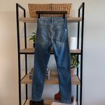 Black Orchid High Photo 6