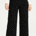 Ann Taylor  Velvet Heart Patterned Black‎ Pants Size 10P Photo 0