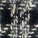 ZARA  Woman peplum tweed top NWOT Photo 4