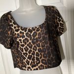 Leopard Cheetah Animal Print Crop Short Sleeve Top Stretch 2XL XL Brown Size 1X Photo 3