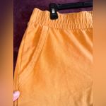 Alo Yoga Women's Tan Joggers Photo 3