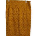 ZARA  trafaluc women’s medium lace pencil skirt Photo 0