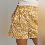 Maeve Anthropologie Pleated Poplin Shorts Size 0 Photo 1