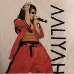 Los Angeles Apparel FRCHS Los Angeles x Aaliyah Singer Cotton Short Sleeve Crop Top - Small Photo 5