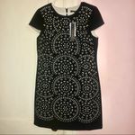 Cynthia Steffe  Miley Dress Photo 1