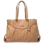 Coach ✨ Carryall Ashley Satchel Cowhide Leather shoulder bag✨ Photo 0