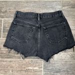 AGOLDE  Parker Denim Shorts Photo 4