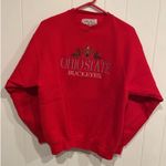 Ohio State University  Sweatshirt Vintage Crewneck Photo 0