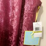 CeCe  by Cynthia Steffe women's 14 crushed soft velvet ombre cocktail party dress Photo 2