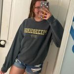 Pittsburgh panthers gray crewneck Size M Photo 1