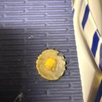 Vera Bradley  Turtles Flip Flops‎ Red White Blue Stripes Size 7 8 M Photo 3