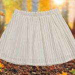 Sage  White Pleated Mesh Mini Skirt Photo 4