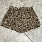 Aerie American Eagle Animal Print Camp Shorts NEW Medium Photo 6