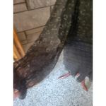 Maggie Barnes 34W Black Gold Sheer‎ Long Sleeve Dress Party Career Size 32W Photo 2