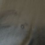 &merci Merci Italia Satiny Black Bell Sleeve Dress *READ* Photo 4