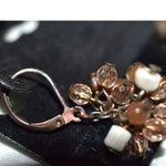 Source Unknown NWOT Lovely Shades Of Fall Brass Tone French Clip Beaded Cluster Drop Earrings Photo 1
