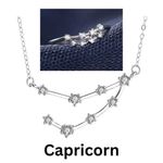 925 Silver Capricorn Zodiac Necklace & Adjustable Ring Photo 1