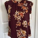 Stitch Fix Daniel Rainn  Cap Sleeve Open Neck Burgundy Floral Semi Sheer Top PXS Photo 0