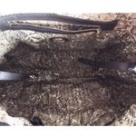 Tory Burch Large Brown Nylon Tote Photo 10