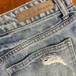 Cello  Shorts Denim Distressed Photo 2